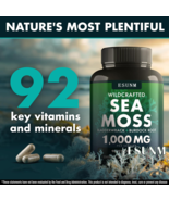 seaweed-compound-vitamin-capsules - $31.19 CAD