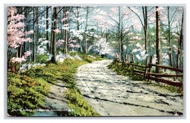 Road on the Way to Sea Breeze Rochester New York NY UNP DB Postcard H22 - £3.17 GBP