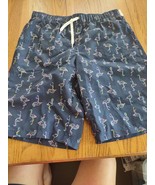 City Streets Husky Large 14/16 Flamingo Boys Swim Shorts - €25,48 EUR