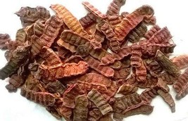 Organic Pure Shikakai Acacia  100g - $9.41