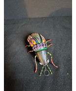 Click Beetle Concepcion Aguilar daughters Josefina Oaxaca Mexico Insect Bug - £11.19 GBP