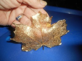 Gold Dipped Real Maple LEAF PENDANT Skeleton Gold-Tone Leaf Leaves Filigree - £19.97 GBP