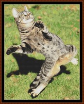 Zumba Cat ~~ counted cross stitch pattern PDF - £15.69 GBP