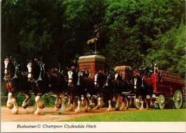 Budweiser Champion Clydesdale Hitch St. Louis MO Postcard PC538 - £7.05 GBP