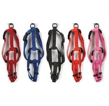 Dog Adjustable Nylon Harness Bulk Packs Medium Sized Dogs Assorted Color 1&quot; Wide - £342.01 GBP+