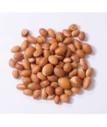 ARGAN 1 Lbs New Harvest Seeds Argania Spinosa From Morocco Argania Spino... - £71.85 GBP