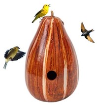 ORANGE &amp; HONEY PSYCHEDELIC STRIPED BIRDHOUSE - Hand Mottled Gourd Bird H... - $53.99