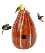 ORANGE &amp; HONEY PSYCHEDELIC STRIPED BIRDHOUSE - Hand Mottled Gourd Bird H... - $73.49 CAD
