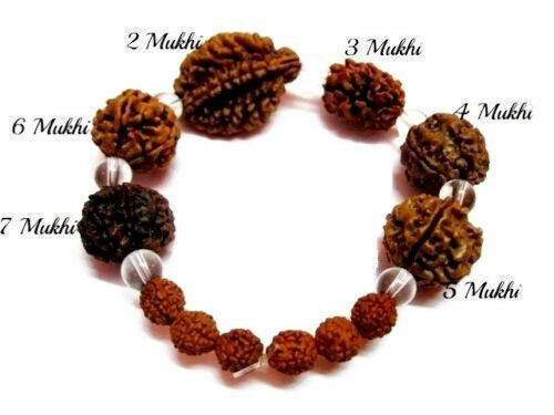 Primary image for Rudraksha 2 3 4 5 6 7 Mukhi (Face) Beads Mala Wrist band bracelet Energized