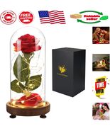 Delicate Red Silk Rose in Illuminated Glass Dome - Anniversary &amp; Birthda... - $1,142.78 MXN