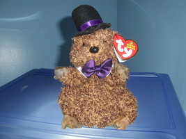 Punxsutawney Phil TY Beanie Baby MWMT 2006 - $8.99