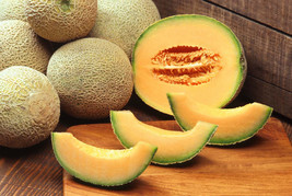 Cantaloupe melon dulce sweet exotic fruit seed 30 SEEDS - £7.20 GBP