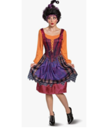 Disney Hocus Pocus Mary Sanderson Classic Adult Costume Women XL Extra L... - $549.73 MXN