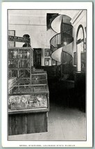 Spiral Staircase Louisiana State Museum Building New Orleans UNP DB Postcard J2 - £5.52 GBP