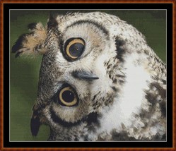 Long Eared Owl - Just The Head ~~ counted cross stitch pattern PDF - £12.75 GBP