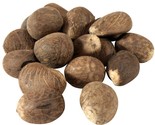 Fair Trade Ecuador Tagua Nuts | Vegan Ivory | Med 55-65mm / 2.16&quot;-2.56&quot; - $25.74