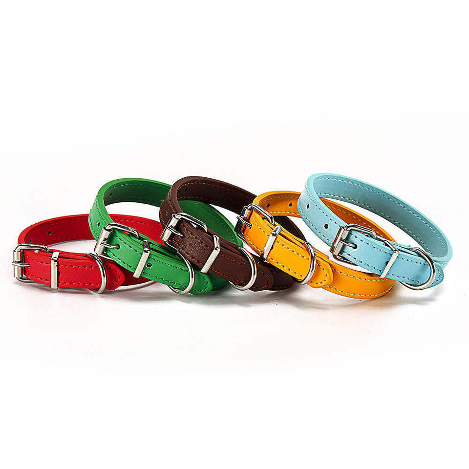 Pet supplies collar - $12.00