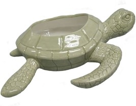 Palegreen, Dolomite Comfy Hour Ocean Voyage Collection 9&quot; Sea Turtle Suc... - £27.14 GBP