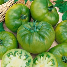 Fresh Seeds USA Cherokee Green Tomato Seeds Open Pollinated Vegetable Gardening - $19.96