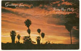 Twenty nine Palms Oasis California Postcard Unused - $4.90