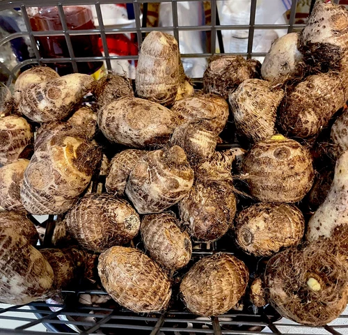 Garden‑Ready Malanga Coco Yam 1 Lb Tubers 2-4” Inches For Consumption Or... - €3,42 EUR