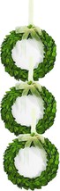 Wreath Mini 6 inch Preserved Round Boxwood Wreath, Door Wall Hanging Decoration - £22.00 GBP