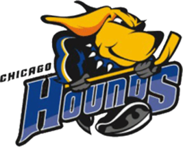 Chicago Hounds Defunct UHL Hockey Mens 1/4 Zip Pullover XS-4X, LT-4XL BlackHawks - £31.13 GBP+