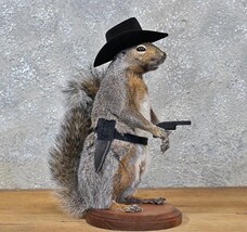 Cowboy Squirrel Taxidermy Animal Statue on Base Home or Office Gift - €383,64 EUR Cowboy Squirrel Taxidermy Animal Statue on Base Home or Office Gift - €383,64 EUR