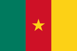 Cameroon Flag - 2x3 Ft - $12.99