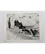 Vtg Photo Dog Sled Camp Sondrestrom Army Air Base Signal Corps Rare Ephe... - $19.99
