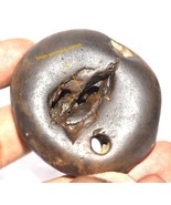 Rare Laxmi Narayan Shaligram - Gandaki River Nepal - $14,044.65 MXN