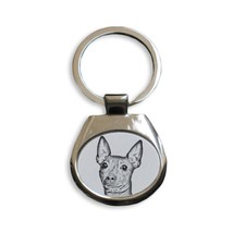American Hairless Terrier- NEW collection of keyrings with images of purebred do - £9.22 GBP