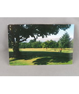 Vintage Postcard - Powell River Golf Course - Hindles Gift and Arts - $20.58 CAD