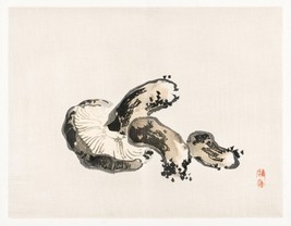 13020.Wall Decor Poster.Oriental kitchen.Kono Bairei Japan art.Shitake mushroom - £12.84 GBP+