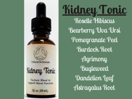 KIDNEY TONIC Herbal Tincture Blend / Liquid Extract / Organic Apothecary Herbs - £14.82 GBP