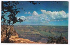 Arizona Postcard Grand Canyon National Park - £2.32 GBP