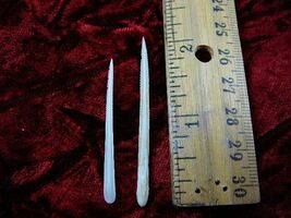 (f352-34) small 1-1/2" Stingray Ray barbs modern Himantura chaophraya ba... - $14.99