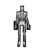 True To Life Human X-Rays - £52.67 GBP