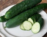 LWK 25 Seeds Paraiso Cucumbers ing Edible Food Easy Grow - $13.32