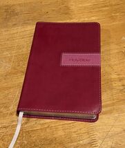 2011 NIV Holy Bible Zondervan Italian Duo-Tone (small print) Pink Faux L... - $24.96 CAD