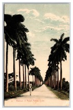 Royal Palm Avenue Street View Havana Cuba DB Postcard S15 - £3.07 GBP