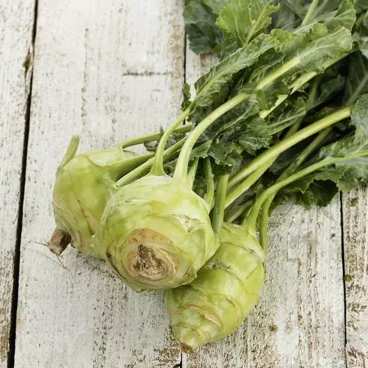 1000 White Vienna Kohlrabi Seeds Non-GMO Heirloom - $111.56 MXN