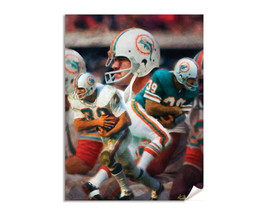 Larry Csonka Czonka Running Back Miami Dolphins NFL Football Art Print 1AM3 - $24.99+