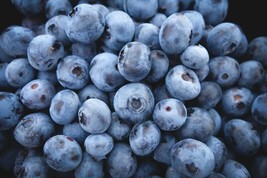 ArfanJaya 100 Highbush Blueberry Seeds - £8.05 GBP