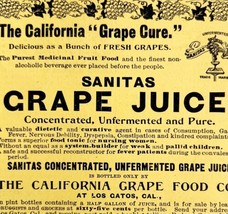 Sanitas California Grape Juice 1894 Advertisement Victorian Beverage Cure ADBN1f - $17.50