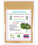 Phyllanthus niruri Capsules Healthy Liver Function 50x500mg - $9.90