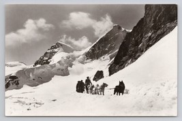 RPPC Jungfraujoch Switzerland 3457M Sled Dogs Polar Hunde Vintage Postcard - $16.93