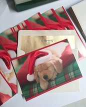 Yellow Lab Puppy Sleeping In Santa Hat Hallmark Christmas Cards (Set of ... - £11.19 GBP