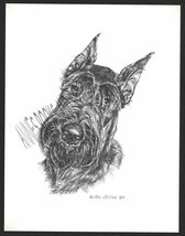 #330 GIANT SCHNAUZER portrait dog art print* Pen &amp; ink drawing by Jan Je... - $12.50