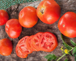 Rutgers Tomato 30 Seeds Non-Gmo Heirloom Tomato Seed Gardening USA SHIPPING - £6.32 GBP